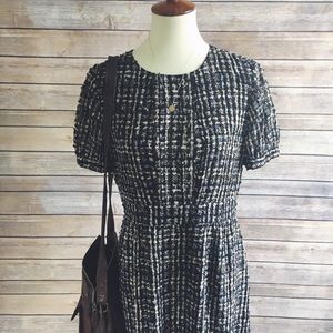 JCrew Swiss Dot Dress